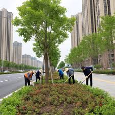 太仓城市绿化养护公司